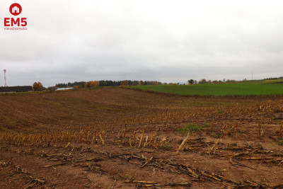 Działka rolno-budowlana  Żegary gm Sejny - Żegary  -
PODLASKIE Zdjęcie nr 3