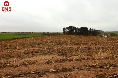 Działka rolno-budowlana  Żegary gm Sejny - Żegary  -
PODLASKIE Zdjęcie nr 4