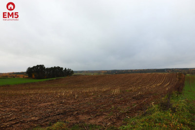 Działka rolno-budowlana  Żegary gm Sejny - Żegary  -
PODLASKIE Zdjęcie nr 5