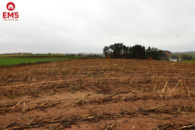 Działka rolno-budowlana  Żegary gm Sejny - Żegary  -
PODLASKIE Zdjęcie nr 7