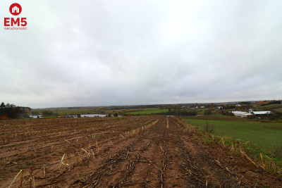 Działka rolno-budowlana  Żegary gm Sejny - Żegary  -
PODLASKIE Zdjęcie nr 9