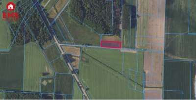 Działka zagrodowa 3000m2 Rzepniki - Zabłudów  -
PODLASKIE Zdjęcie nr 4