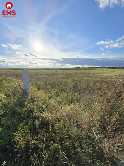 Działka budowlana blisko Narwi z WZ - Pajewo  -
PODLASKIE Zdjęcie nr 2