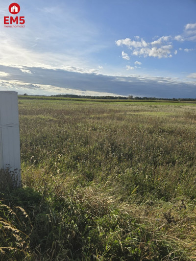 Działka budowlana blisko Narwi z WZ - Pajewo  -
PODLASKIE Zdjęcie nr 3