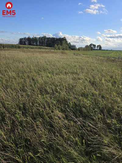 Działka budowlana blisko Narwi z WZ - Pajewo  -
PODLASKIE Zdjęcie nr 4