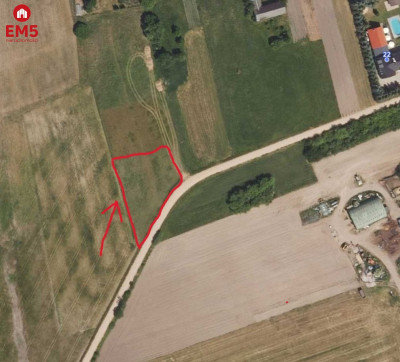 Działka budowlana blisko Narwi z WZ - Pajewo  -
PODLASKIE Zdjęcie nr 5