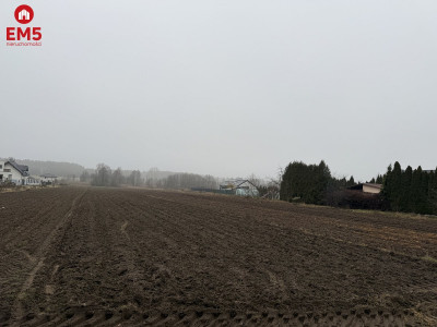 Działka Inwestycyjna 9256 m2 - Niewodnica Kościelna  - PODLASKIE