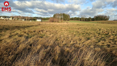 Działka 1400 m2 pod miastem - Niecki  -
PODLASKIE Zdjęcie nr 6