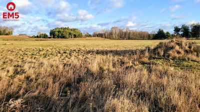 Działka 1400 m2 pod miastem - Niecki  -
PODLASKIE Zdjęcie nr 7