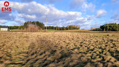 Działka 1400 m2 pod miastem - Niecki  -
PODLASKIE Zdjęcie nr 8