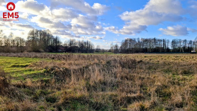 Działka 1400 m2 pod miastem - Niecki  -
PODLASKIE Zdjęcie nr 9