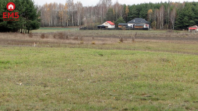 Działka 1000 m2 Tołcze - Tołcze  - PODLASKIE