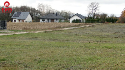 Działka 1000 m2 Tołcze - Tołcze  -
PODLASKIE Zdjęcie nr 2