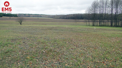 Działka 1000 m2 Tołcze - Tołcze  -
PODLASKIE Zdjęcie nr 5