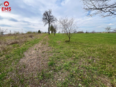 Królewskie Wzgórza 3 km od Białegostoku  - Nowe Aleksandrowo  -
PODLASKIE Zdjęcie nr 4