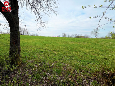 Królewskie Wzgórza 3 km od Białegostoku  - Nowe Aleksandrowo  -
PODLASKIE Zdjęcie nr 7