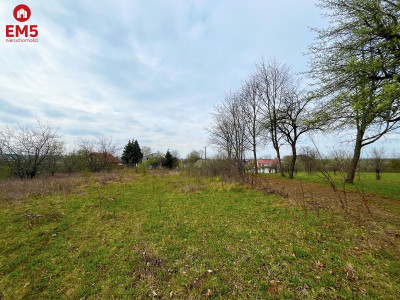 Królewskie Wzgórza 3 km od Białegostoku  - Nowe Aleksandrowo  -
PODLASKIE Zdjęcie nr 2