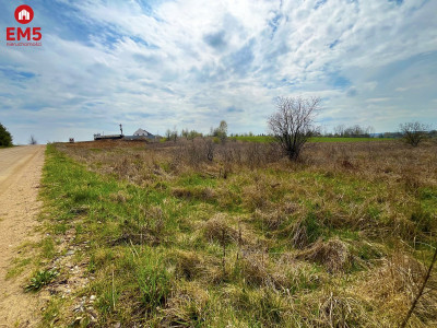 Królewskie Wzgórza 3 km od Białegostoku  - Nowe Aleksandrowo  -
PODLASKIE Zdjęcie nr 9