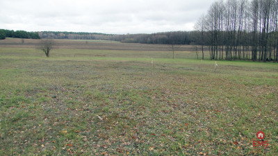 Działka budowlana 1000 m2 - Tołcze  -
Podlaskie Zdjęcie nr 9