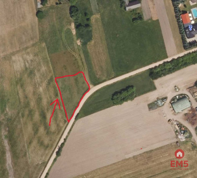 Działak budowlana blisko Narwi - Pajewo  - Podlaskie