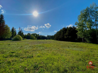 Działka w Katrynce - Katrynka  -
Podlaskie Zdjęcie nr 4