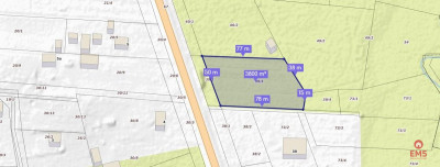 Działka w Katrynce - Katrynka  -
Podlaskie Zdjęcie nr 7