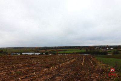 Działka rolno-budowlana - Żegary gm Sejny - Żegary  -
Podlaskie Zdjęcie nr 10