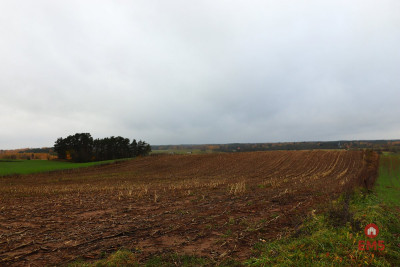 Działka rolno-budowlana - Żegary gm Sejny - Żegary  -
Podlaskie Zdjęcie nr 11