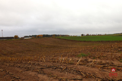 Działka rolno-budowlana - Żegary gm Sejny - Żegary  -
Podlaskie Zdjęcie nr 13