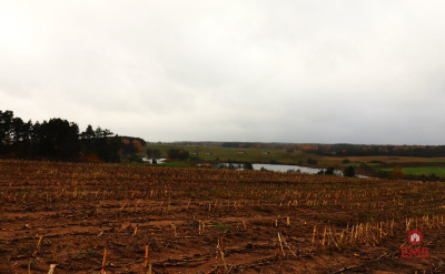 Działka rolno-budowlana - Żegary gm Sejny - Żegary  - Podlaskie