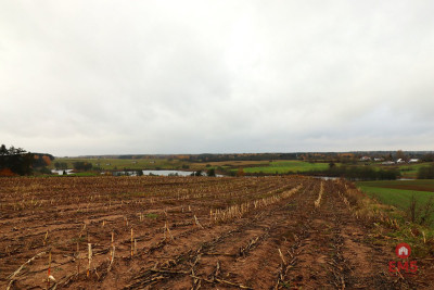 Działka rolno-budowlana - Żegary gm Sejny - Żegary  -
Podlaskie Zdjęcie nr 4