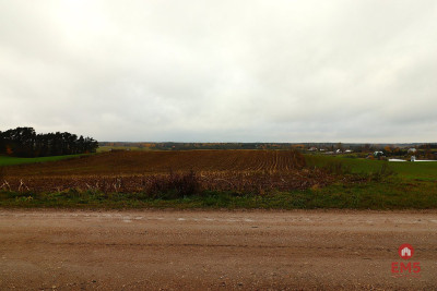 Działka rolno-budowlana - Żegary gm Sejny - Żegary  -
Podlaskie Zdjęcie nr 5