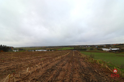 Działka rolno-budowlana - Żegary gm Sejny - Żegary  -
Podlaskie Zdjęcie nr 7