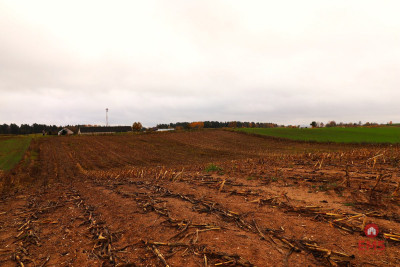 Działka rolno-budowlana - Żegary gm Sejny - Żegary  -
Podlaskie Zdjęcie nr 8