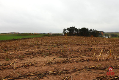 Działka rolno-budowlana - Żegary gm Sejny - Żegary  -
Podlaskie Zdjęcie nr 9