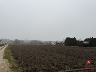 Działka Inwestycyjna 9256 m2 - Niewodnica  -
Podlaskie Zdjęcie nr 2