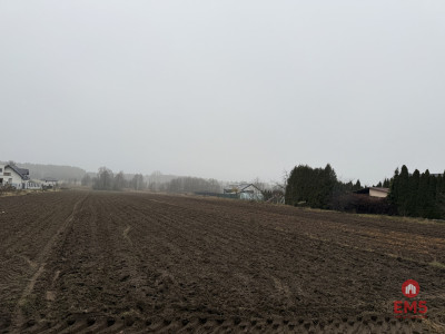 Działka Inwestycyjna 9256 m2 - Niewodnica  -
Podlaskie Zdjęcie nr 4