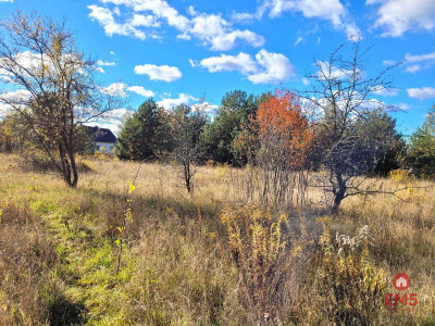 Sowlany działka pod Twój dom - Sowlany  - Podlaskie