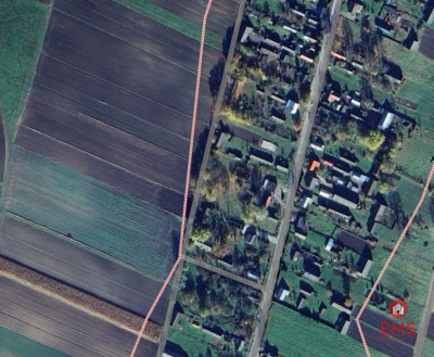 Ziemia pod uprawy blisko Hajnówki - Morze  -
Podlaskie Zdjęcie nr 5