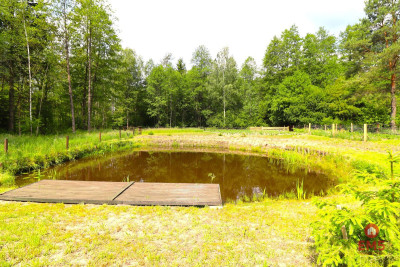 Działka budowlana staw ogrodzenie - Płaska  -
Podlaskie Zdjęcie nr 4