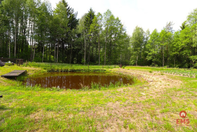 Działka budowlana staw ogrodzenie - Płaska  -
Podlaskie Zdjęcie nr 5