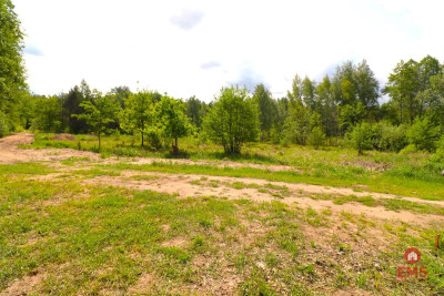 Działka w środku lasu - Płaska  -
Podlaskie Zdjęcie nr 3