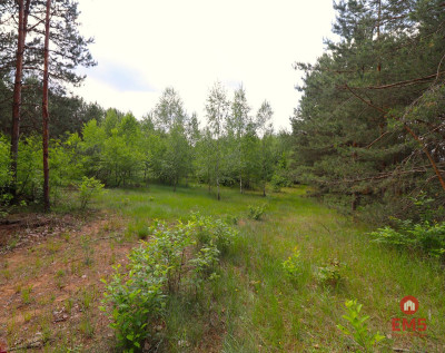 Działka w centrum - Płaska  - Podlaskie