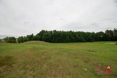 Wyjątkowa działka otoczona lasem - Jeziorki  -
Podlaskie Zdjęcie nr 5