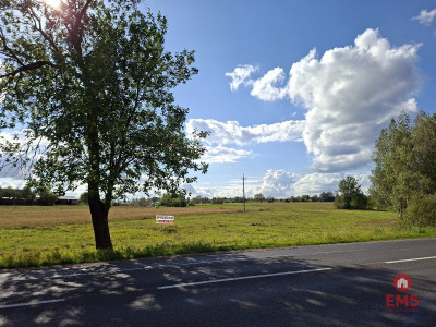 Działka inwestycyjna 22 ha - Kuriany  - Podlaskie