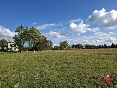 Działka inwestycyjna 22 ha - Kuriany  -
Podlaskie Zdjęcie nr 4