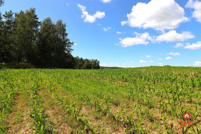 Działka budowlana na Mazurach Rożyńsk Wielki - Rożyńsk Wielki  -
Warmińsko-Mazurskie Zdjęcie nr 11