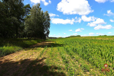 Działka budowlana na Mazurach Rożyńsk Wielki - Rożyńsk Wielki  - Warmińsko-Mazurskie