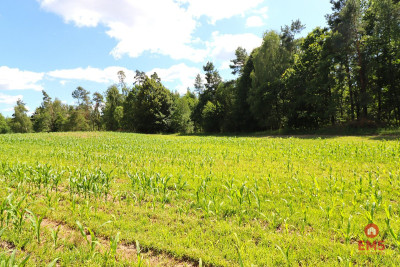 Działka budowlana na Mazurach Rożyńsk Wielki - Rożyńsk Wielki  -
Warmińsko-Mazurskie Zdjęcie nr 10