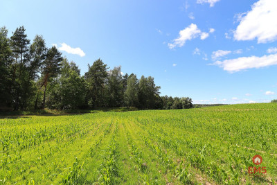 Działka budowlana na Mazurach Rożyńsk Wielki - Rożyńsk Wielki  -
Warmińsko-Mazurskie Zdjęcie nr 6
